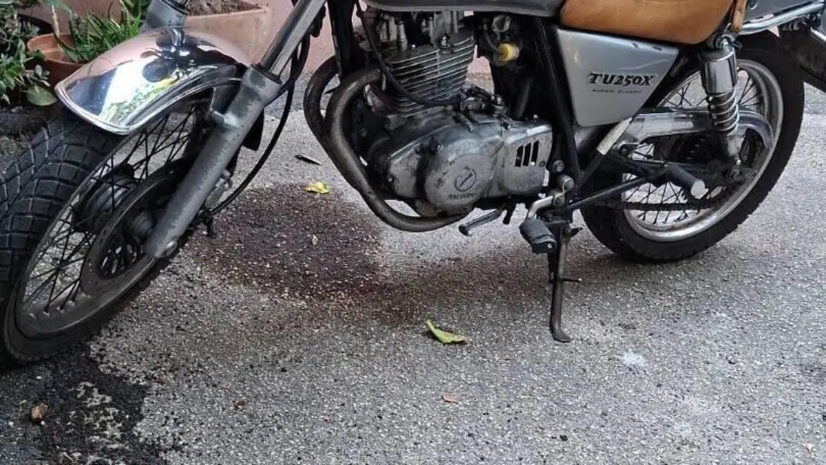 Suzuki   (4)