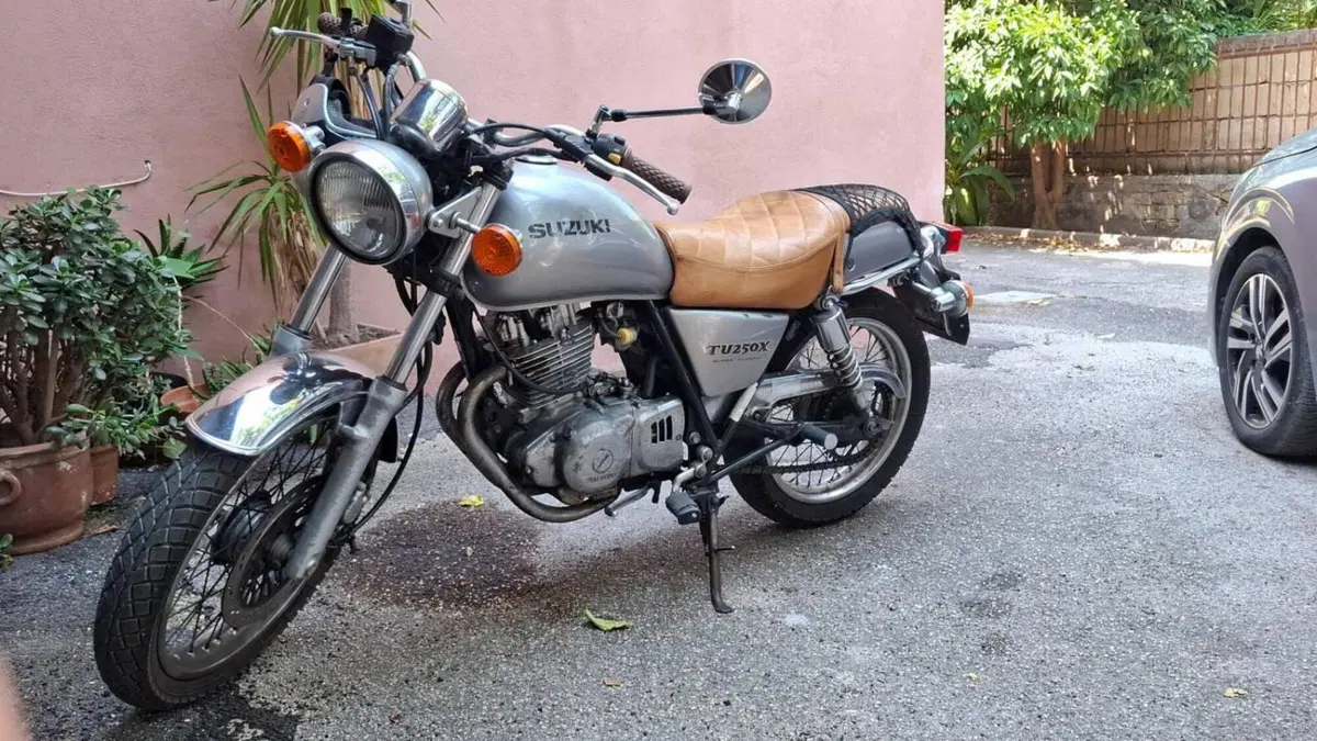 Suzuki   (6)