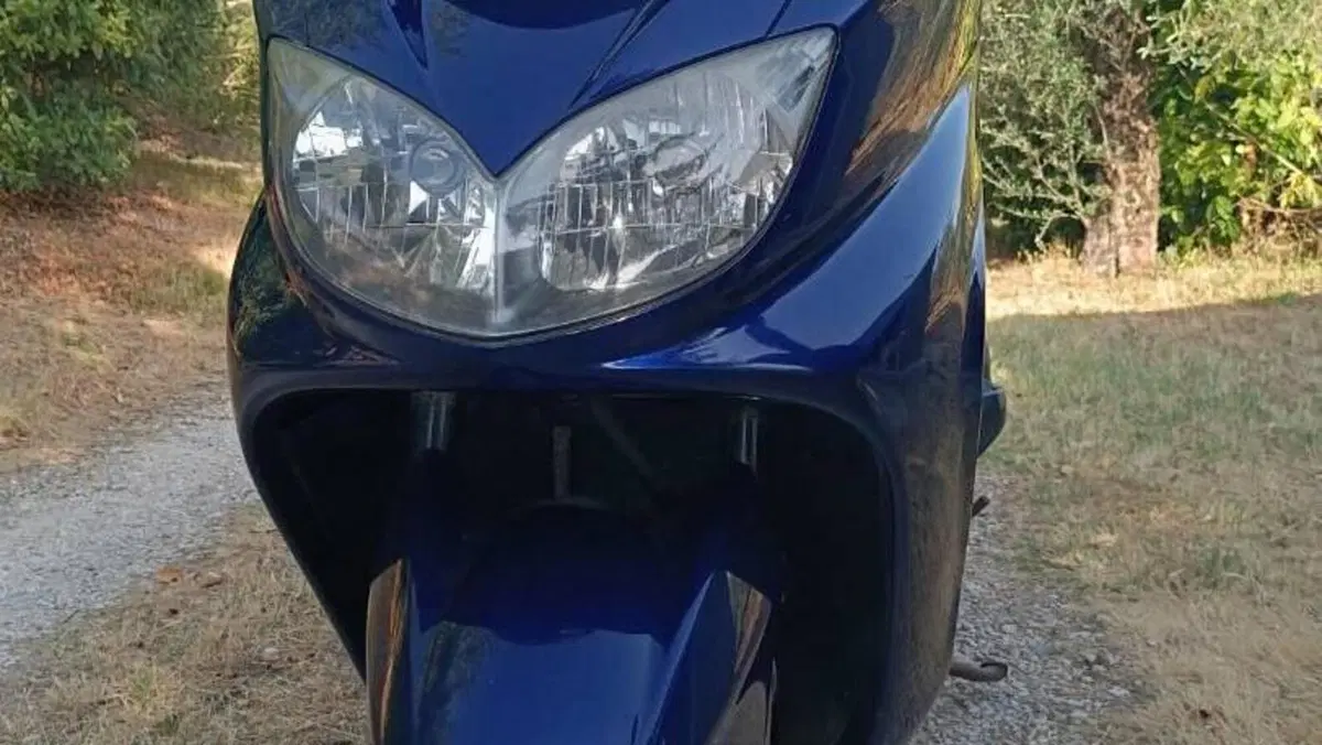 Yamaha Majesty 400 (2004 - 08)  (5)