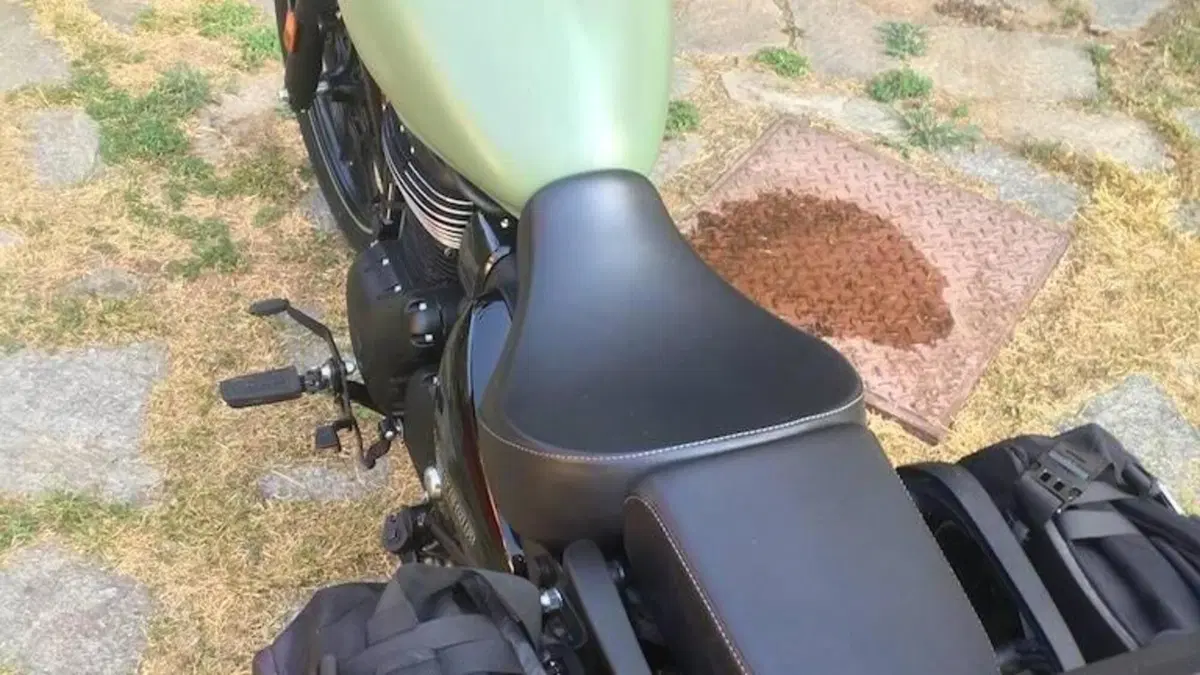 Royal Enfield Meteor 350 (2021 - 26)  (5)