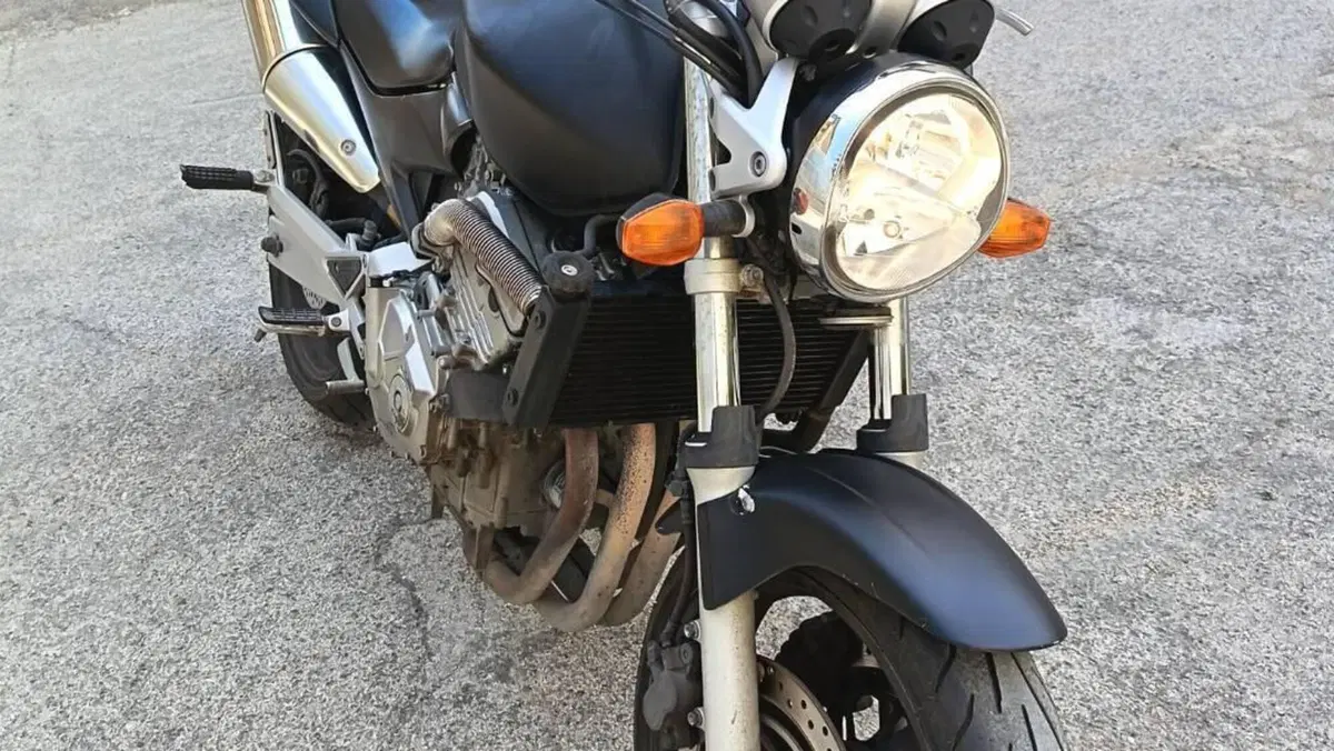 Honda Hornet 600 (2003 - 04)  (6)