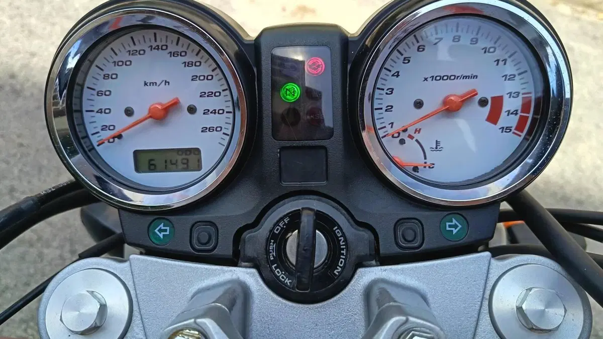 Honda Hornet 600 (2003 - 04)  (8)