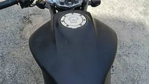 Honda Hornet 600 (2003 - 04)  (9)