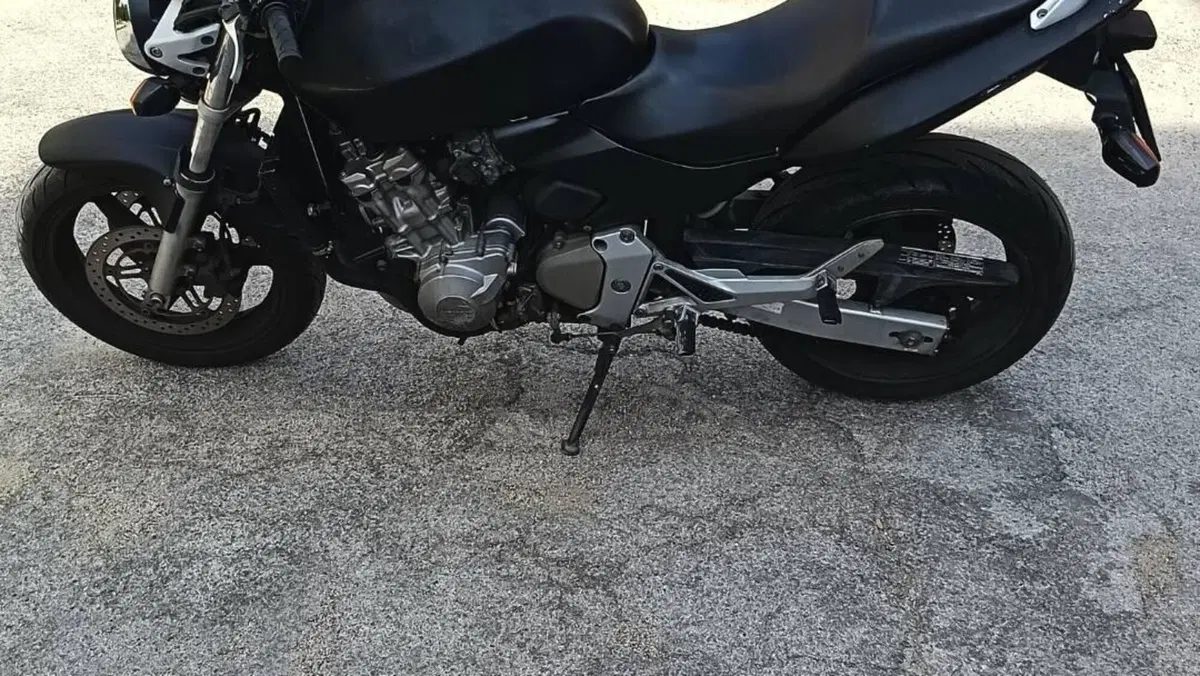 Honda Hornet 600 (2003 - 04)  (11)
