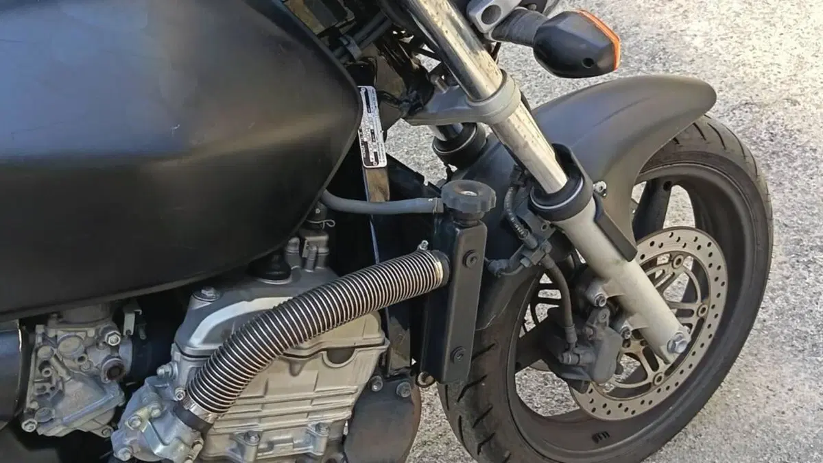Honda Hornet 600 (2003 - 04)  (12)