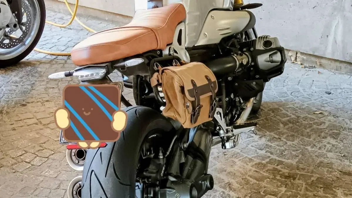 Bmw R nineT 1200 Pure (2017 - 20)  (5)
