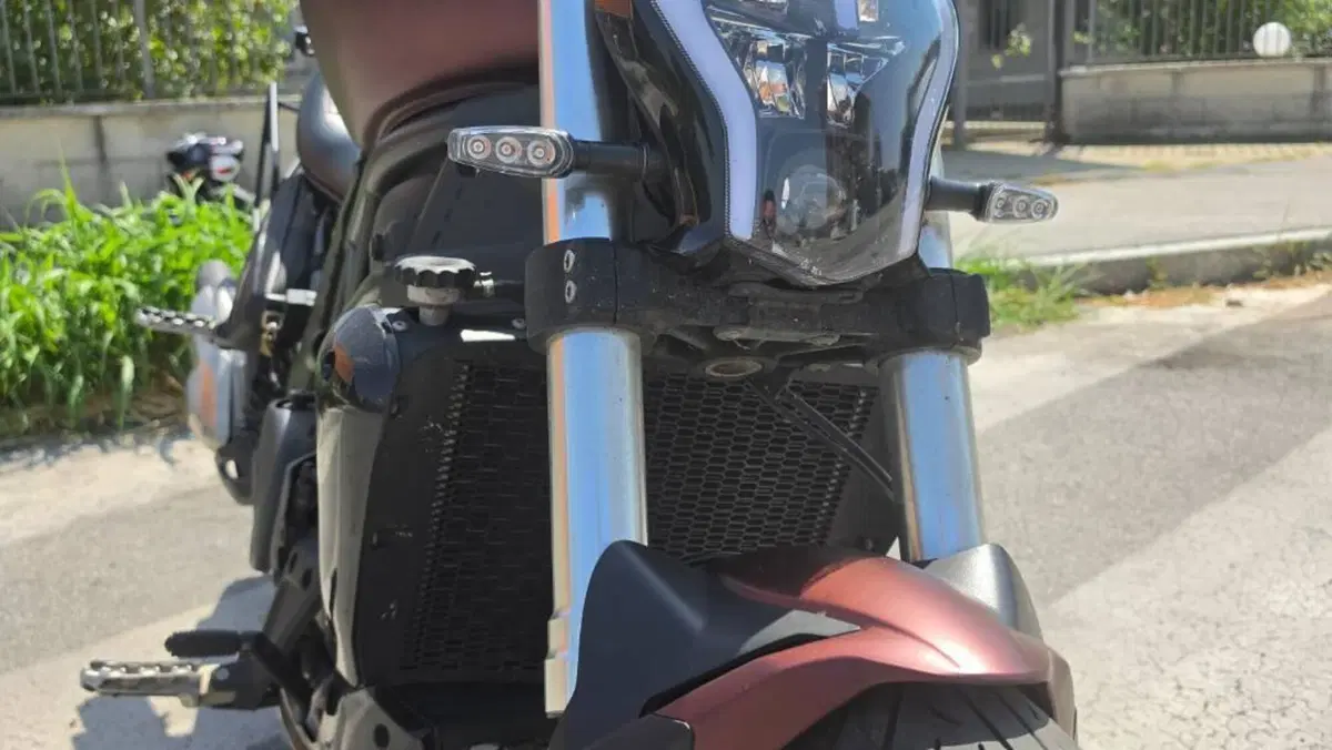 Benelli 502 C (2021 - 25)  (4)