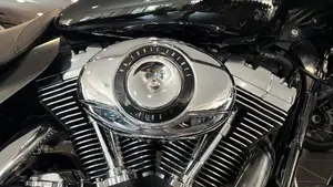 Harley-Davidson 1584 Street Glide (2007) - FLHX  (5)