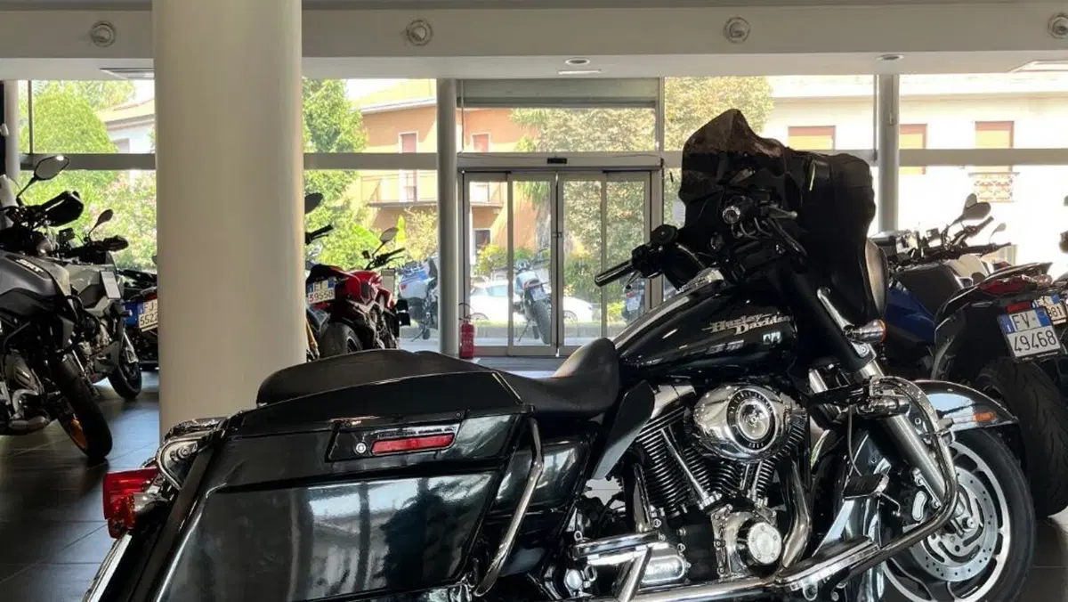 Harley-Davidson 1584 Street Glide (2007) - FLHX  (16)