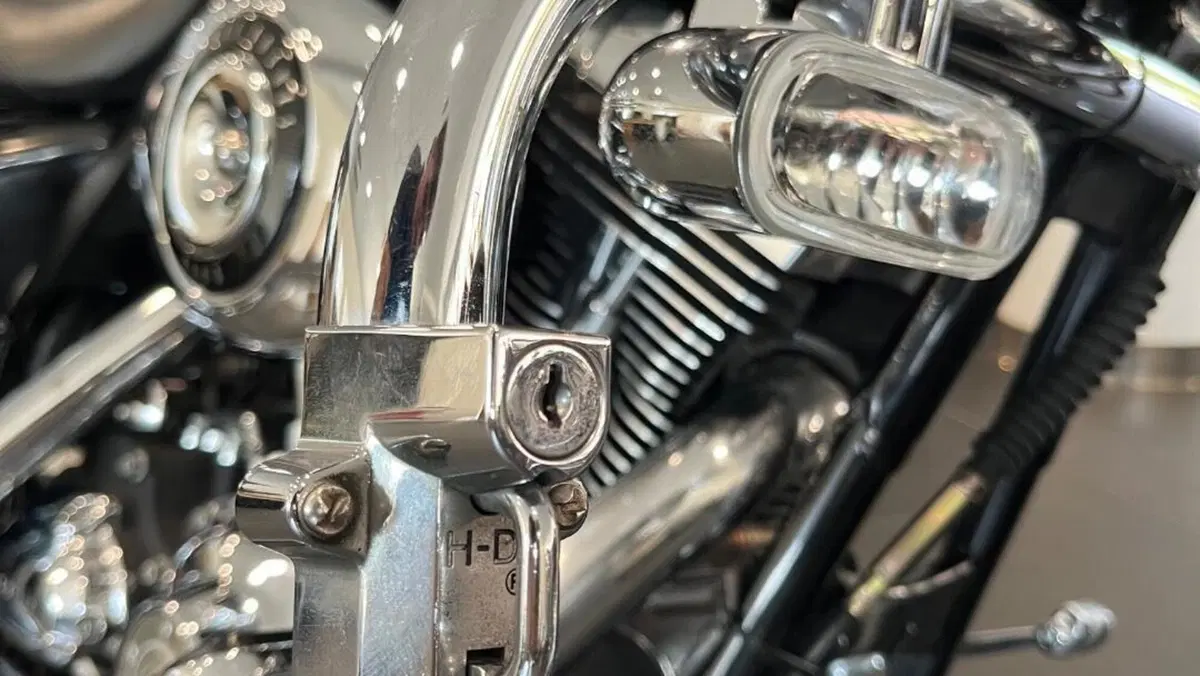 Harley-Davidson 1584 Street Glide (2007) - FLHX  (19)