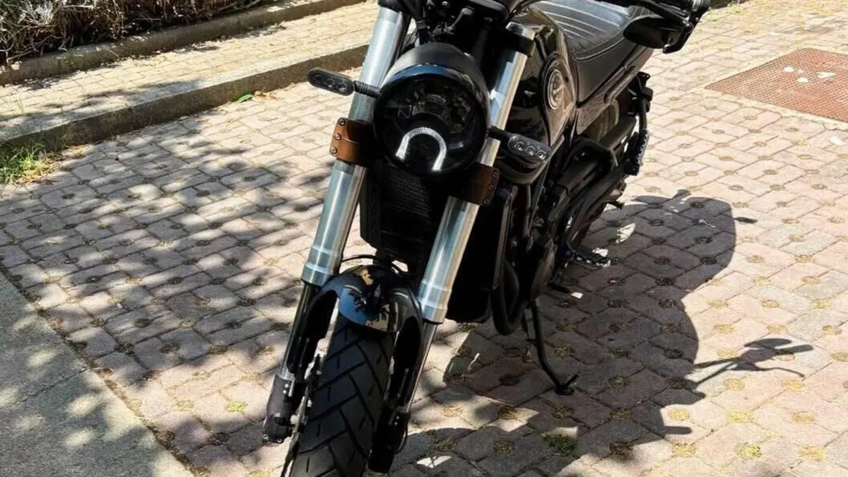 Benelli Leoncino 500 Trail (2021 - 26)  (4)