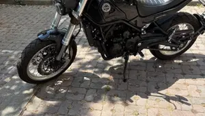 Benelli Leoncino 500 Trail (2021 - 26)  (16)