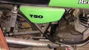 Benelli   (7)