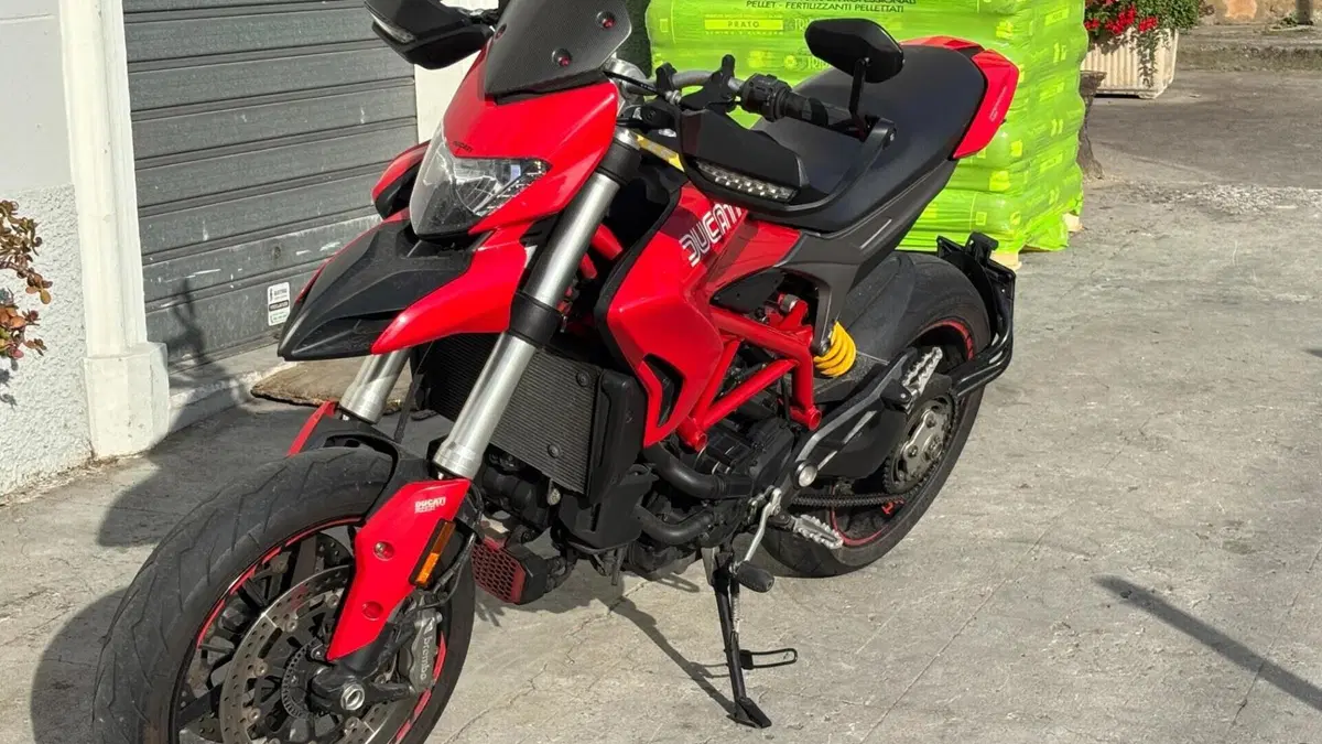 Ducati Hypermotard 939 (2016 - 18)  (10)