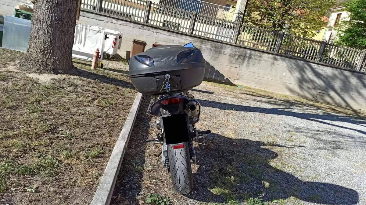 Honda Hornet 600 (2003 - 04)  (4)