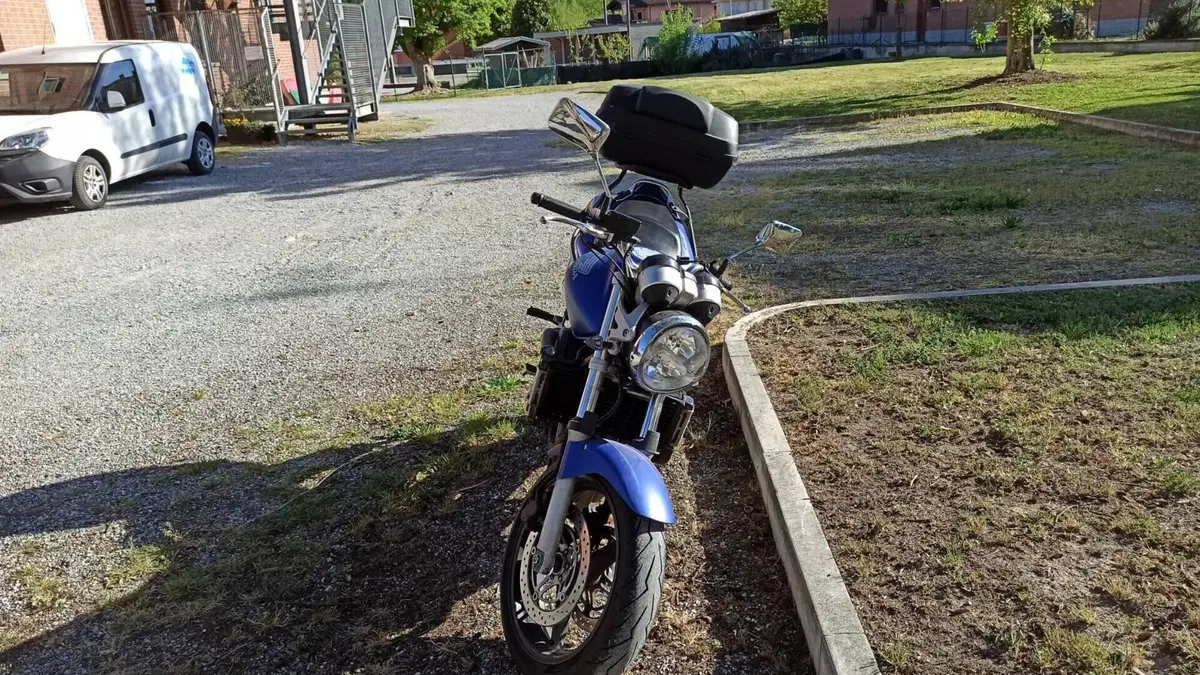Honda Hornet 600 (2003 - 04)  (3)