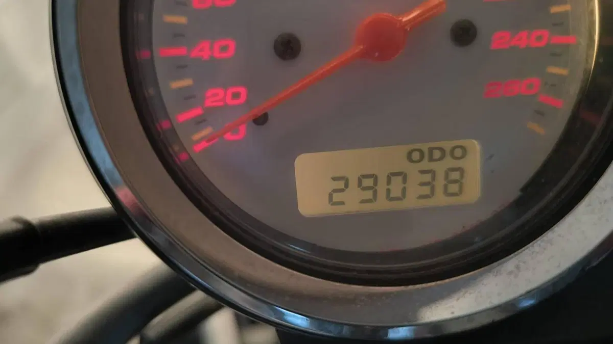 Honda Hornet 600 (2003 - 04)  (5)