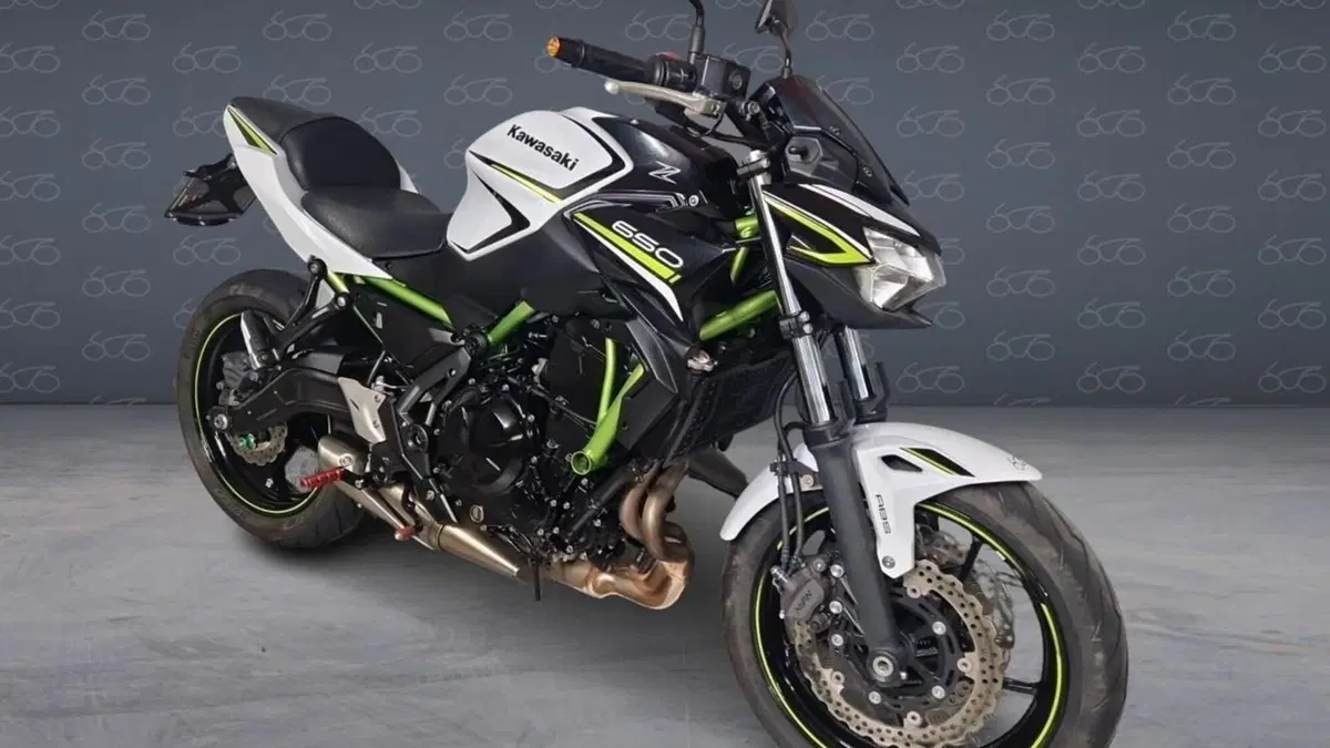 Kawasaki Z 650 (2020)  (2)