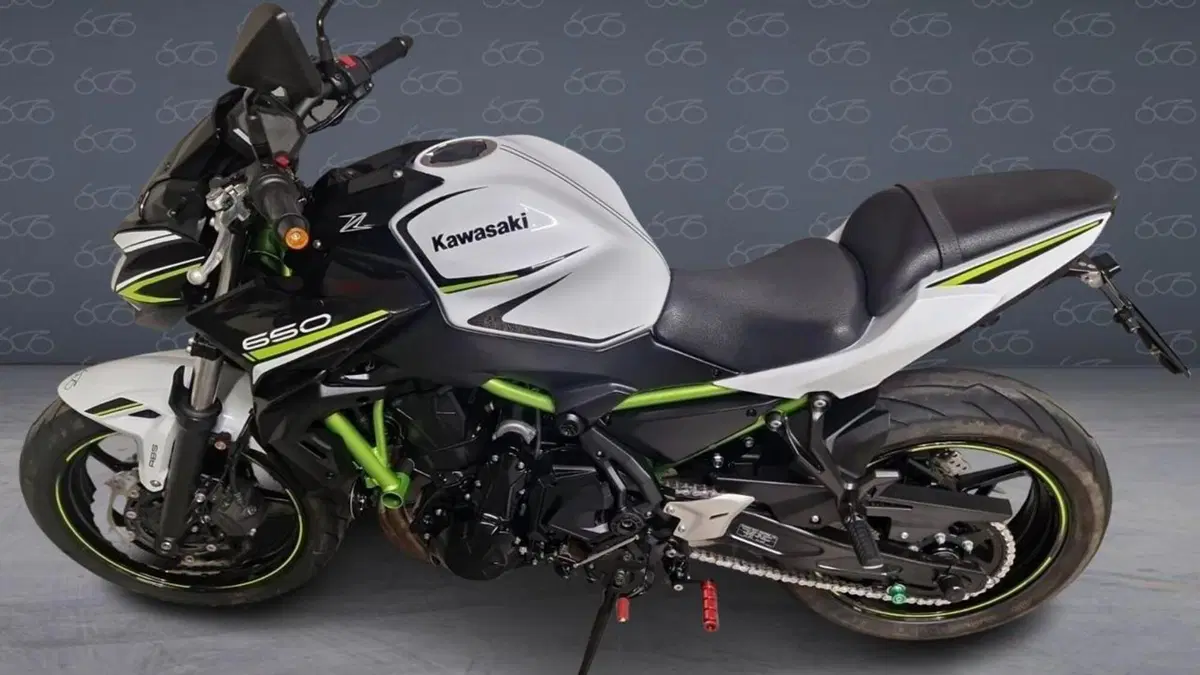 Kawasaki Z 650 (2020)  (3)
