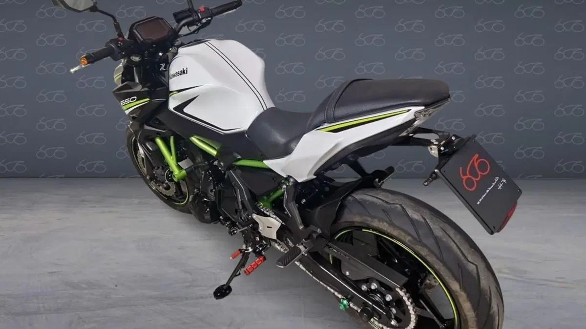 Kawasaki Z 650 (2020)  (4)