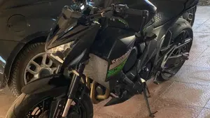 Kawasaki Z 800 ABS (2012 - 16)  (7)