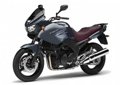 Ricambi Usati Originali Yamaha TDM 900 (2002-2014) - Annuncio 10084277