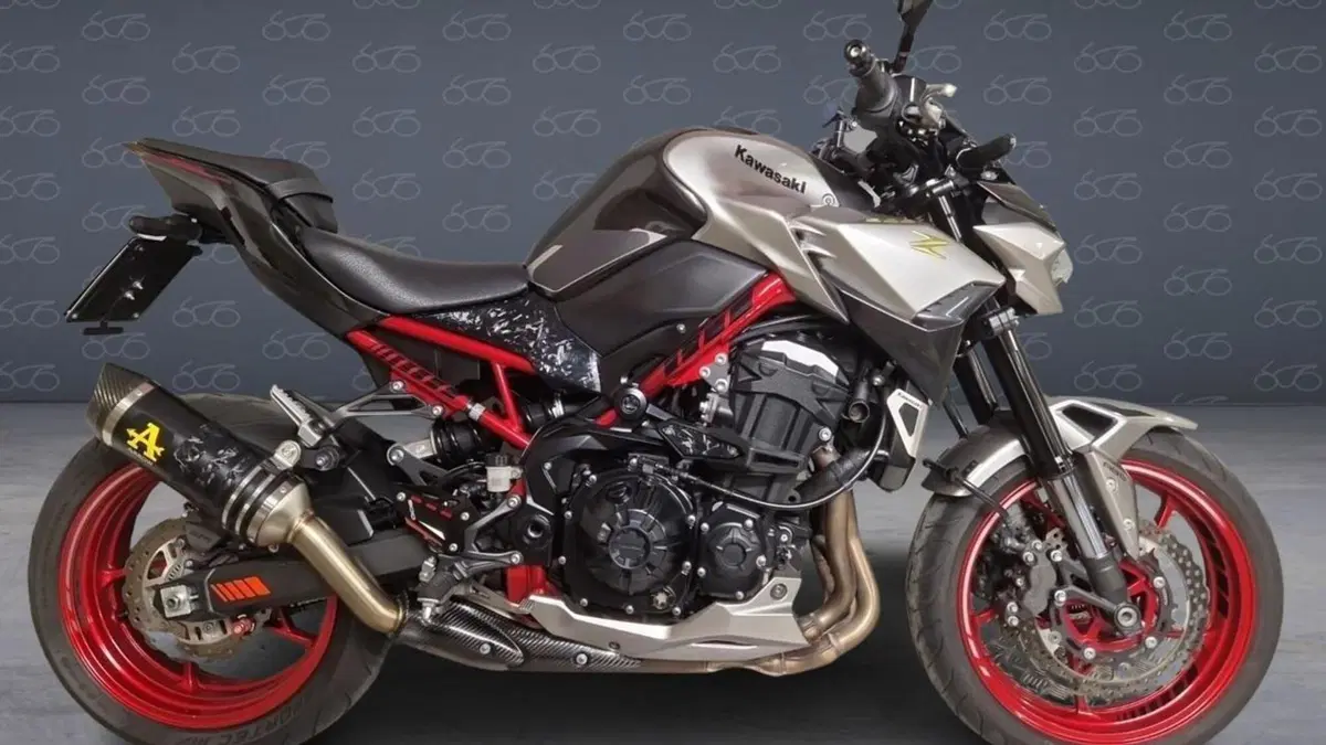 Kawasaki Z 900 (2021 - 24) 