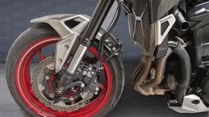 Kawasaki Z 900 (2021 - 24)  (5)