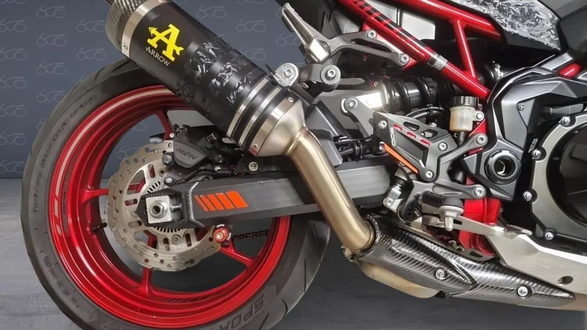 Kawasaki Z 900 (2021 - 24)  (6)
