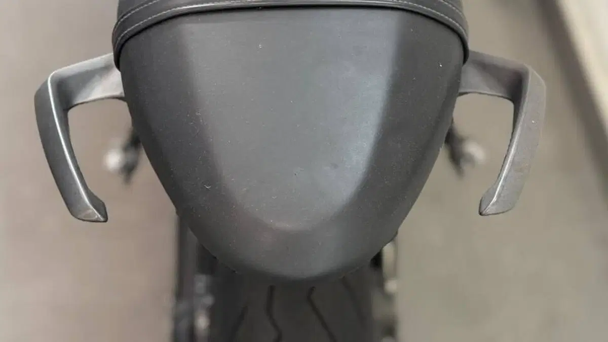 Triumph Trident 660 (2021 - 24)  (5)