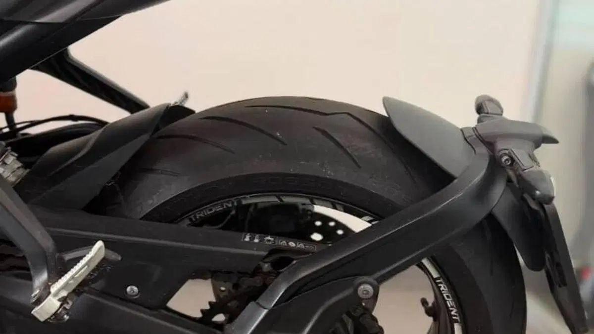 Triumph Trident 660 (2021 - 24)  (8)