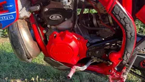Betamotor RR 300 2T Enduro Racing (2020)  (5)