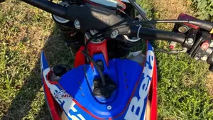 Betamotor RR 300 2T Enduro Racing (2020)  (6)