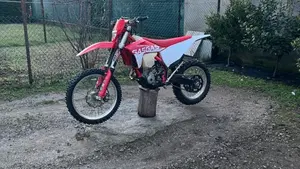 GASGAS EC 250 F (2022)  (9)
