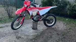 GASGAS EC 250 F (2022)  (10)