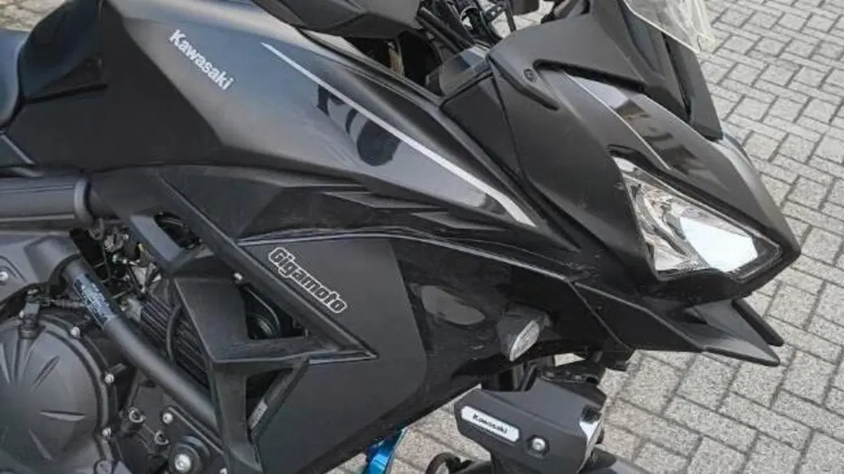 Kawasaki Versys 650 (2025 - 26)  (3)