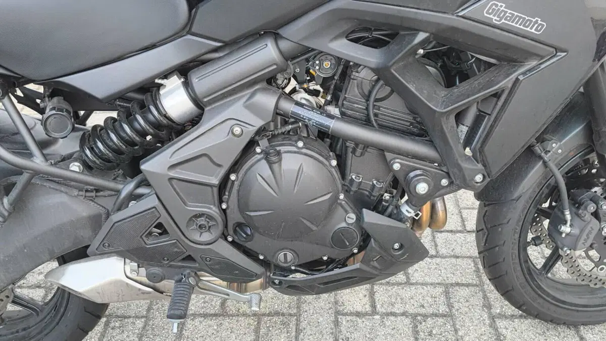 Kawasaki Versys 650 (2025 - 26)  (4)