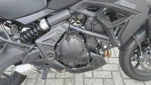 Kawasaki Versys 650 (2025 - 26)  (4)