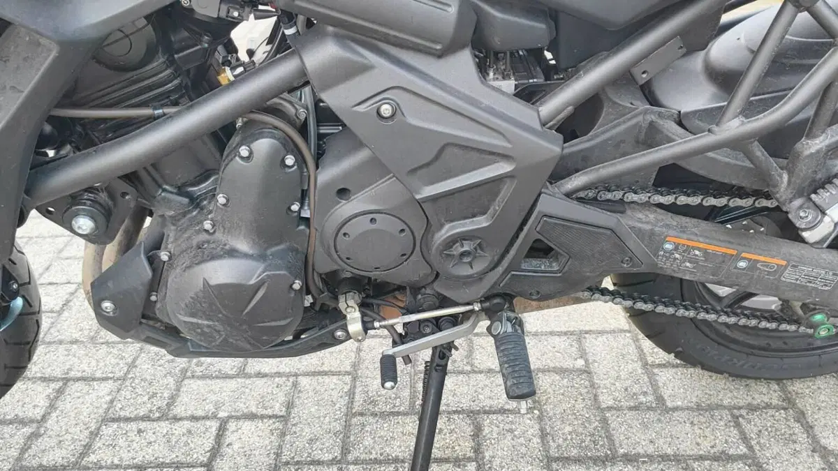 Kawasaki Versys 650 (2025 - 26)  (9)