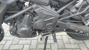 Kawasaki Versys 650 (2025 - 26)  (9)