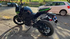 Kawasaki Z 400 (2023)  (4)