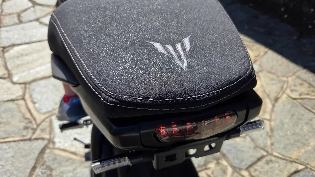 Yamaha MT-09 (2013 - 15)  (9)