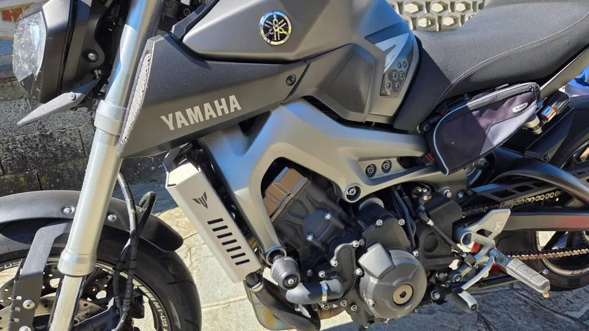 Yamaha MT-09 (2013 - 15)  (13)