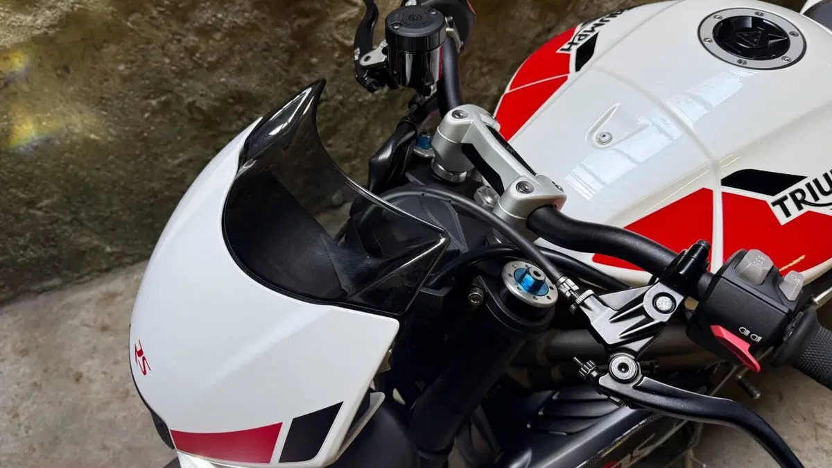 Triumph Speed Triple 1050 RS (2018 - 20)  (3)