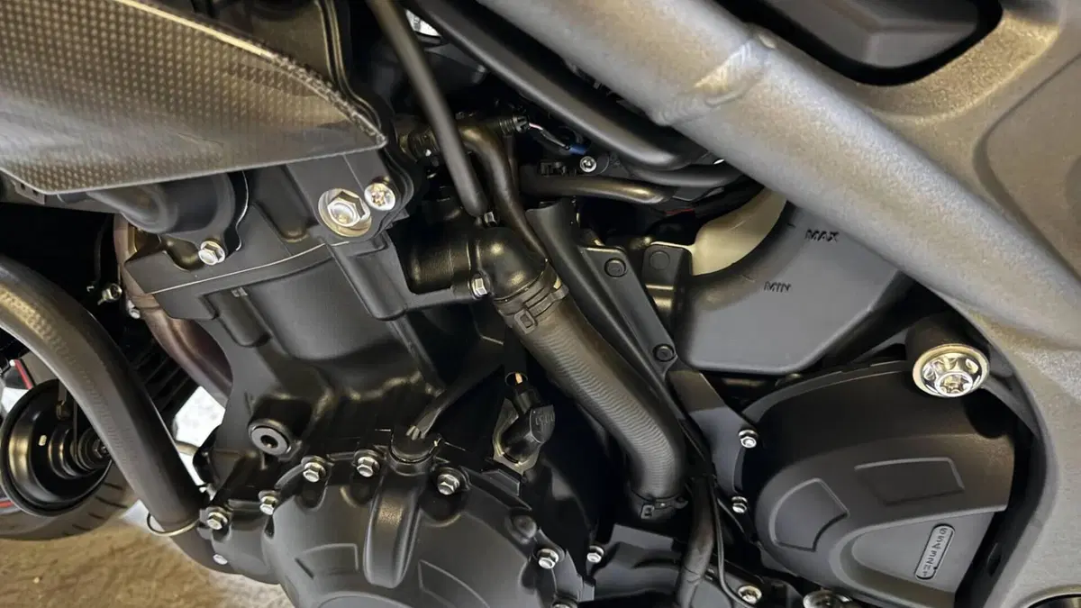 Triumph Speed Triple 1050 RS (2018 - 20)  (7)