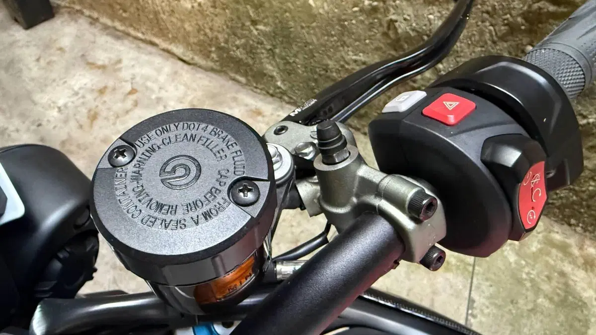 Triumph Speed Triple 1050 RS (2018 - 20)  (9)