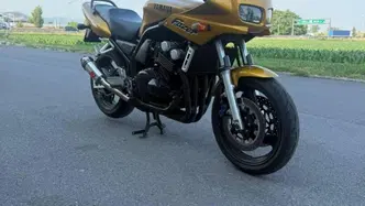 Yamaha FZ 600 usata