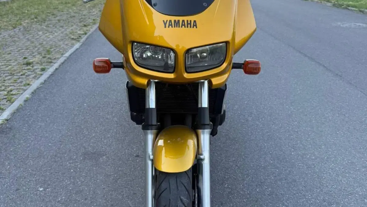Yamaha FZ 600  (3)