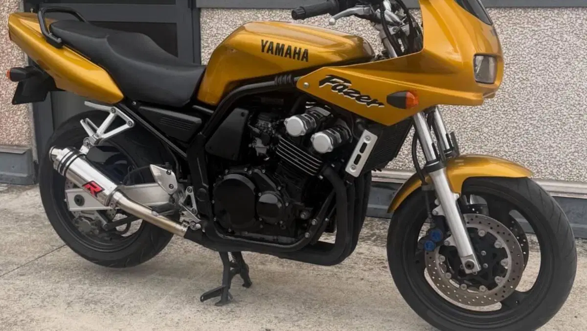 Yamaha FZ 600  (13)