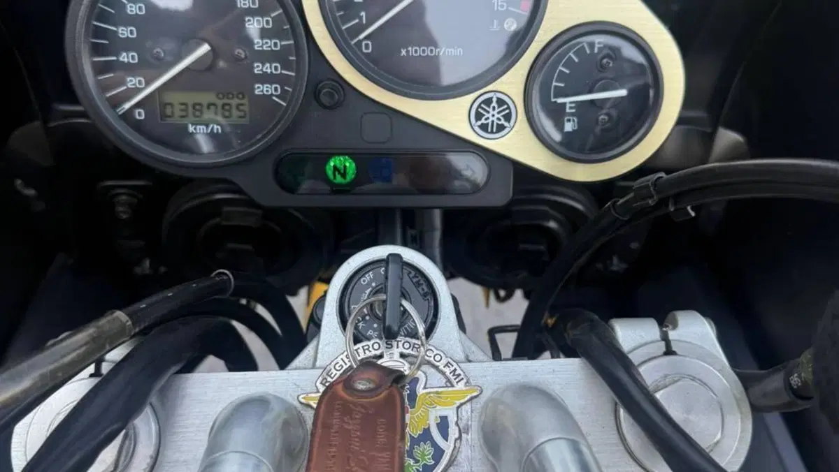 Yamaha FZ 600  (14)